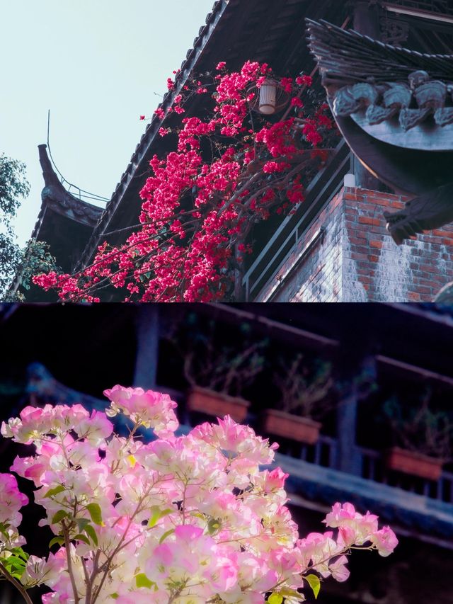 穿越百年時光，邂逅甘坑古鎮