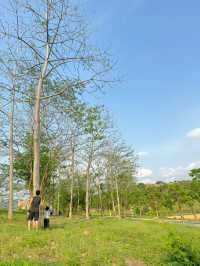 石岩湖濕地公園 | 環湖徒步騎行天花板