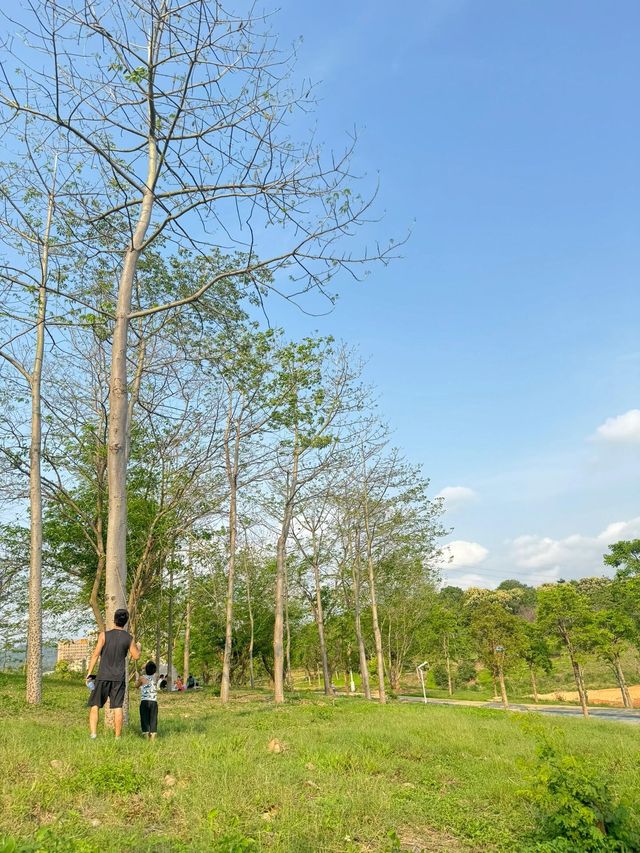 石岩湖濕地公園 | 環湖徒步騎行天花板