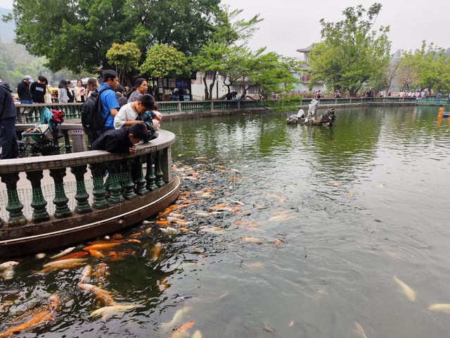 清明節登七星岩