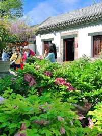 濰坊春日賞櫻花 | 奎文門+十笏園超全攻略
