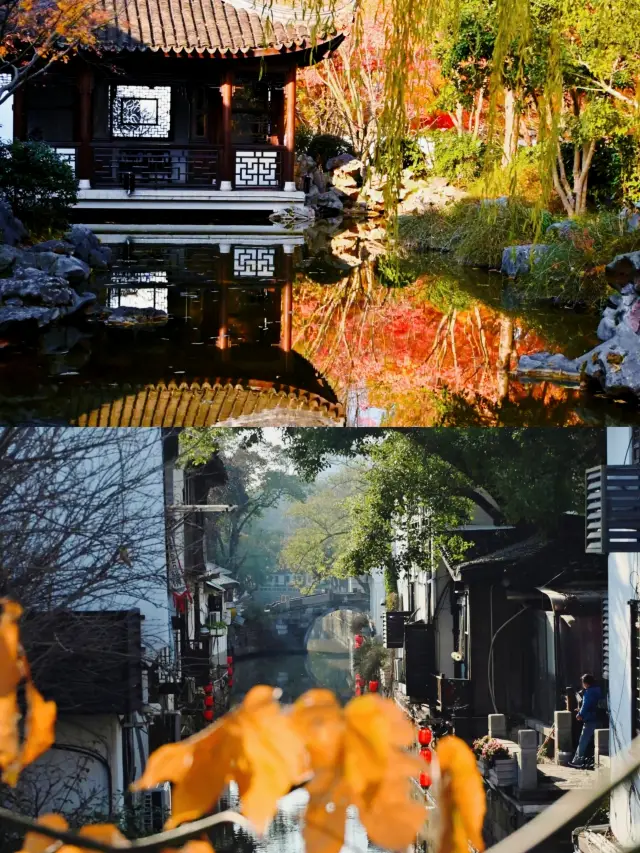 Must-Visit Hidden Gems in Shanghai