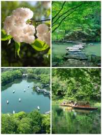 杭州3天2夜深度遊｜西湖×靈隱寺×西溪濕地全攻略