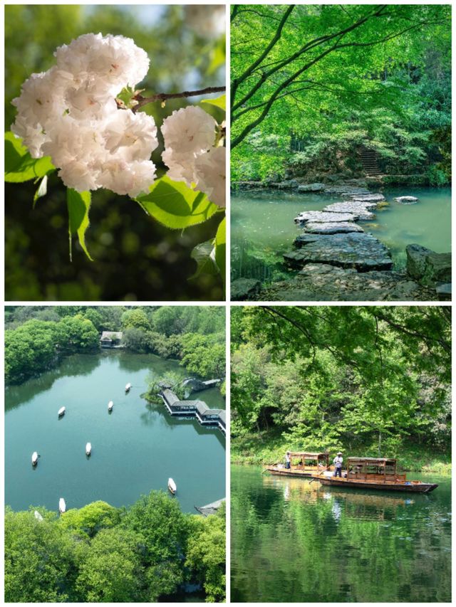 杭州3天2夜深度遊｜西湖×靈隱寺×西溪濕地全攻略