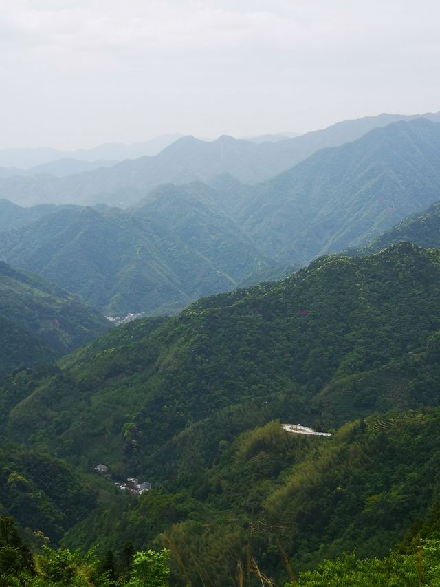 自駕白坪天路丨浙皖交界自駕遊