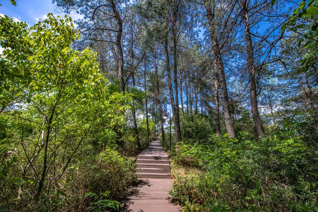 屯溪稽靈山：黃山市區不多見的原生態公園，森呼吸的絕佳去處！