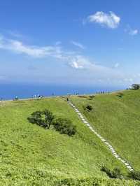 夏日限定 抹茶味兒大室山