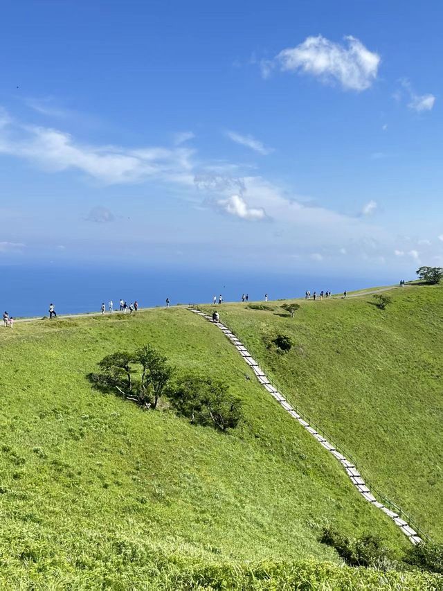 夏日限定 抹茶味兒大室山