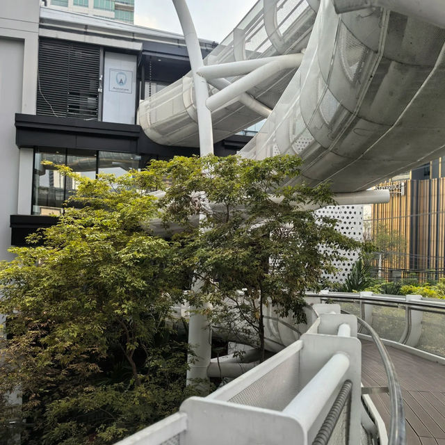 🌳曼谷班嘉奇蒂公園｜藏在城市裡的森系烏托邦