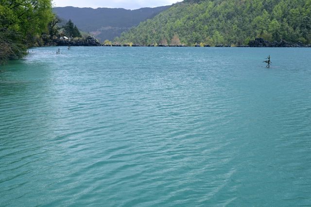 香格里拉麗江5日遊