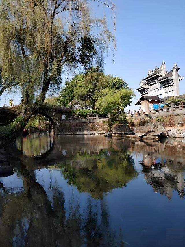 【五一逃離人海｜21℃森林秘境療癒之旅】邊個明啊！