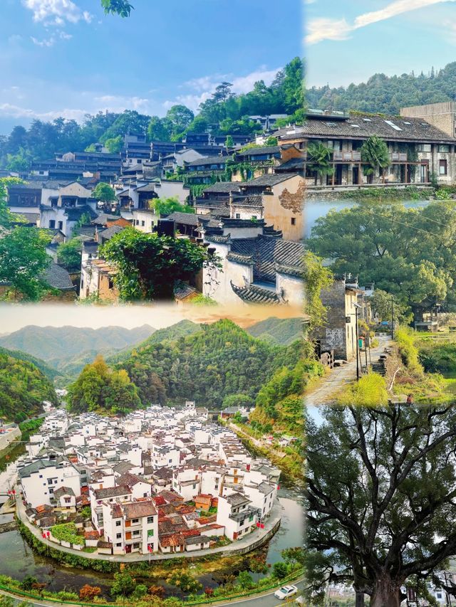 婺源已回 真嘅係人間理想