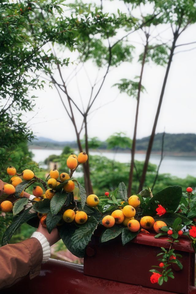 ——喺自然秘境中,喚醒生活嘅詩意 ——喺自然秘境中,喚醒生活嘅詩意