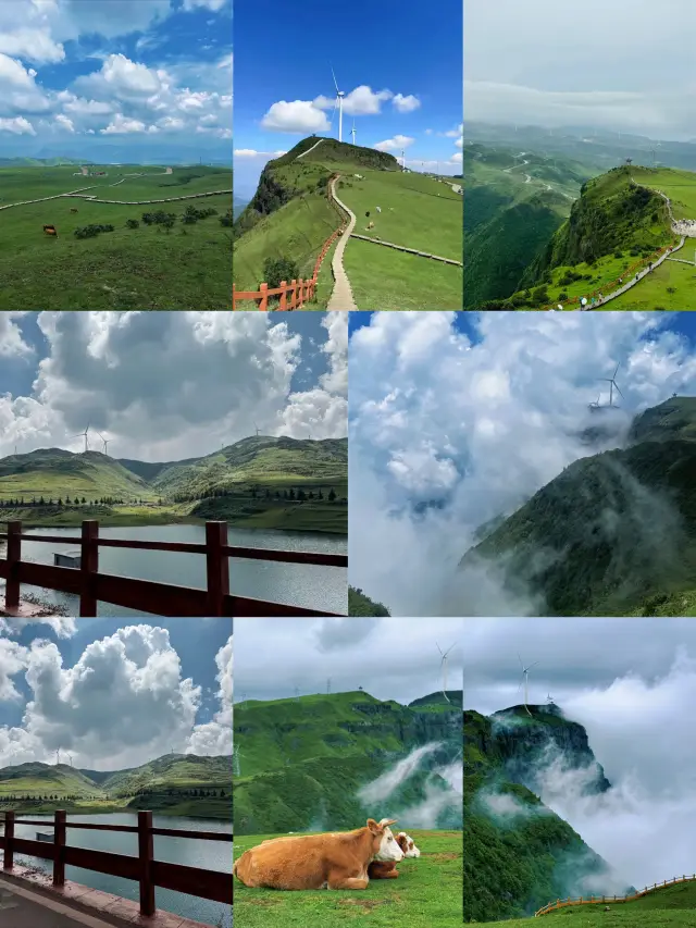 Complete Guide to Wumeng Prairie: China's Little Switzerland in Guizhou