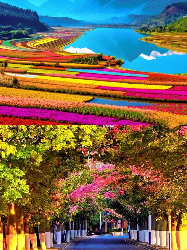 攀枝花以花係一座城，城係一朵花