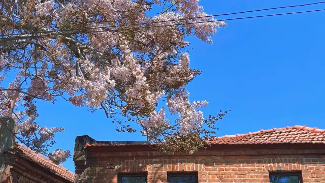 青島/三天兩夜精華版旅遊攻略