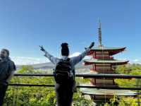 A Day with Fuji
