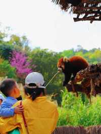 普洱太陽河森林公園 | 自然與文化邂逅