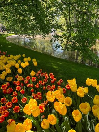 Keukenhof Park