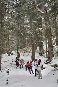 一生必去嘅神仙雪山村落雨崩保姆級攻略