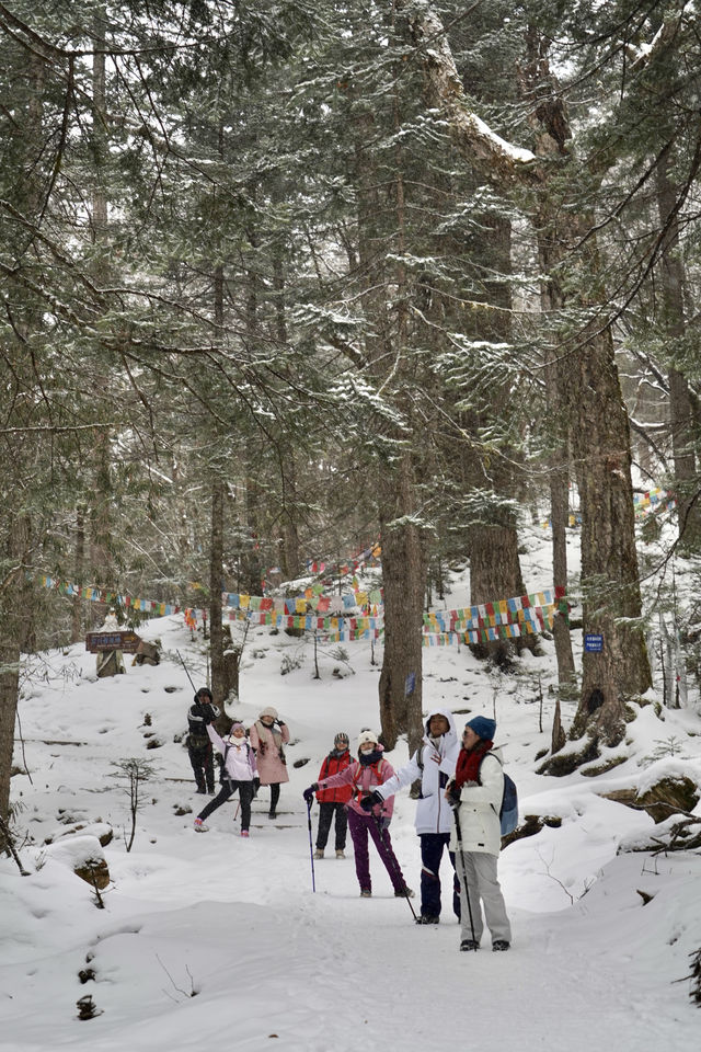 一生必去嘅神仙雪山村落雨崩保姆級攻略
