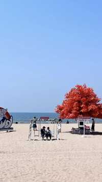 秦皇島不為人知的秘密每年竟吸引無數遊客？