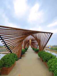 Nansha Pearl Agricultural park in guangzhou view of Sydney bridge 🇨🇳