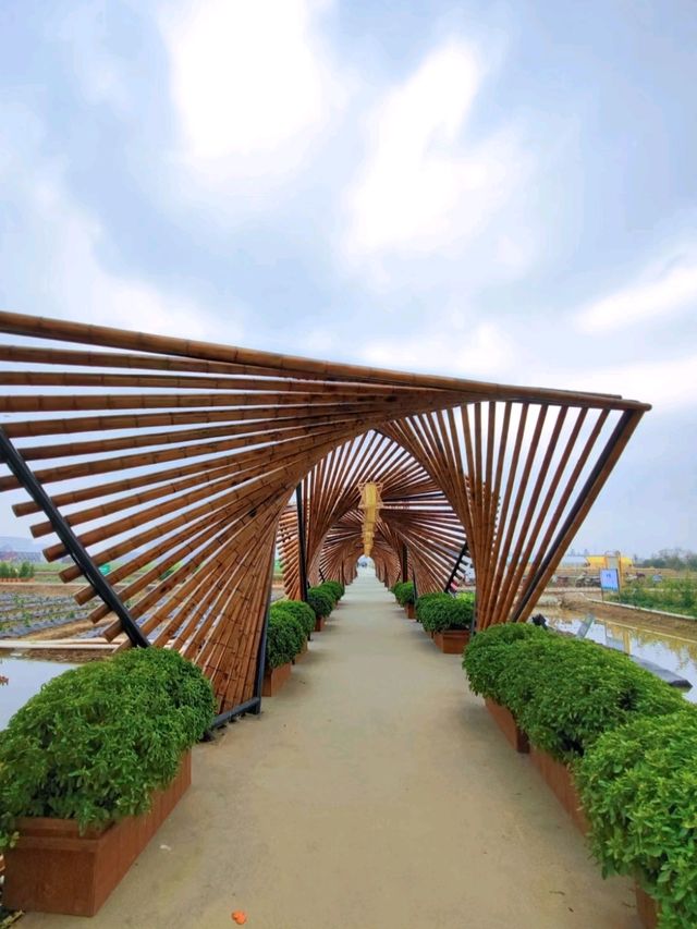 Nansha Pearl Agricultural park in guangzhou view of Sydney bridge 🇨🇳