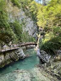 Castles, Canyons, and Culture: Three Days in Slovenia 🇸🇮 🏔️ 