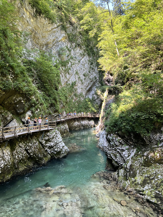 Castles, Canyons, and Culture: Three Days in Slovenia 🇸🇮 🏔️ 
