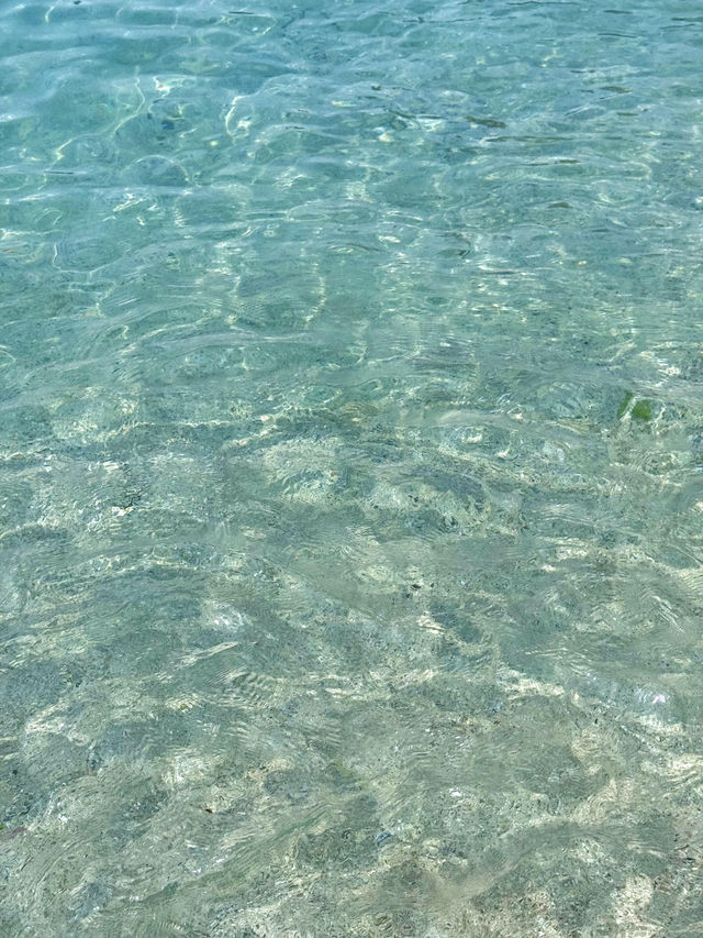 🌊香港黃茅洲，浮潛秘境！