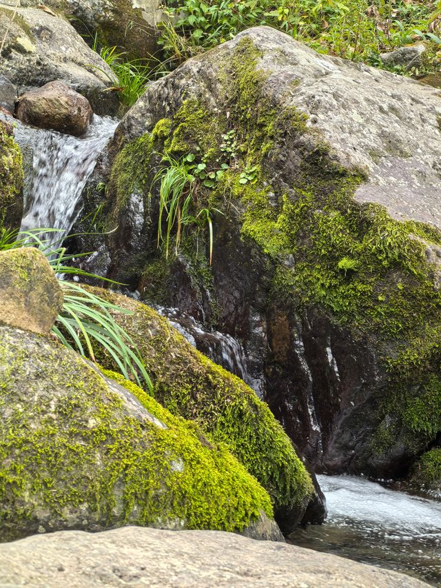 《山靄深處：與簷角苔衣的千年私語》