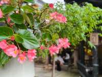 歷史與禪意交織嘅龍潭寺