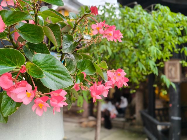 歷史與禪意交織嘅龍潭寺