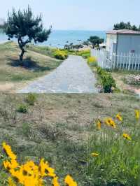 一直以為青島已經夠靚，直到我去咗黃島！