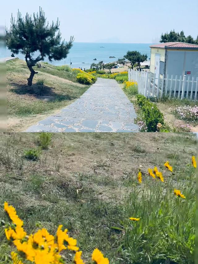 一直以為青島已經夠靚，直到我去咗黃島！