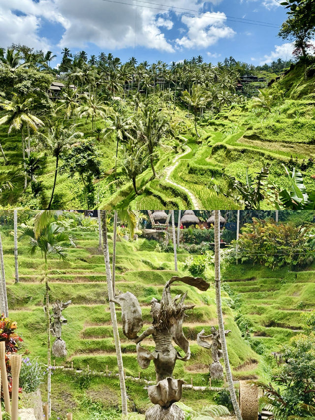 烏布梯田秘境，周董同款《稻香》取景地