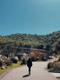 YAZA野在山川酒店