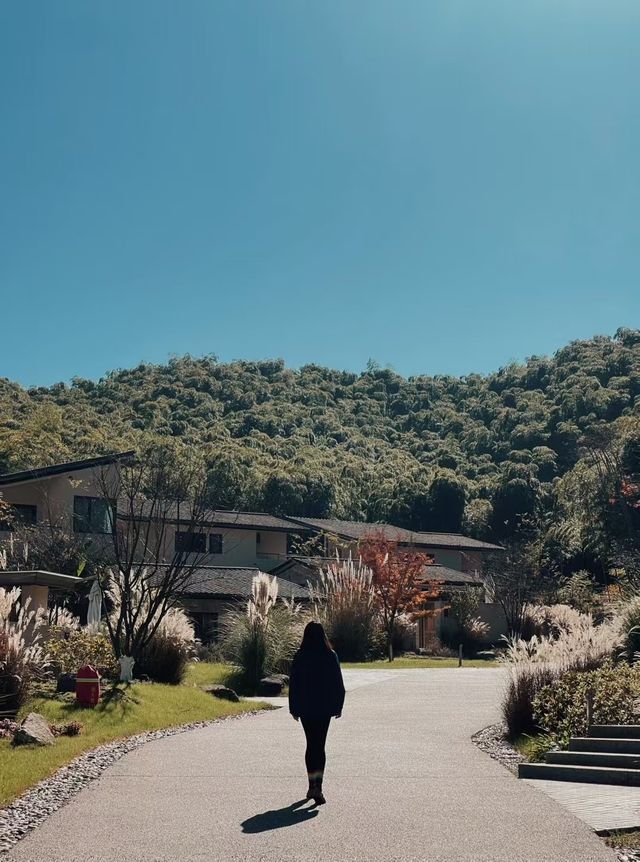 YAZA野在山川酒店