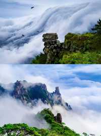 廬山漫遊｜闖入22℃的綠光森林