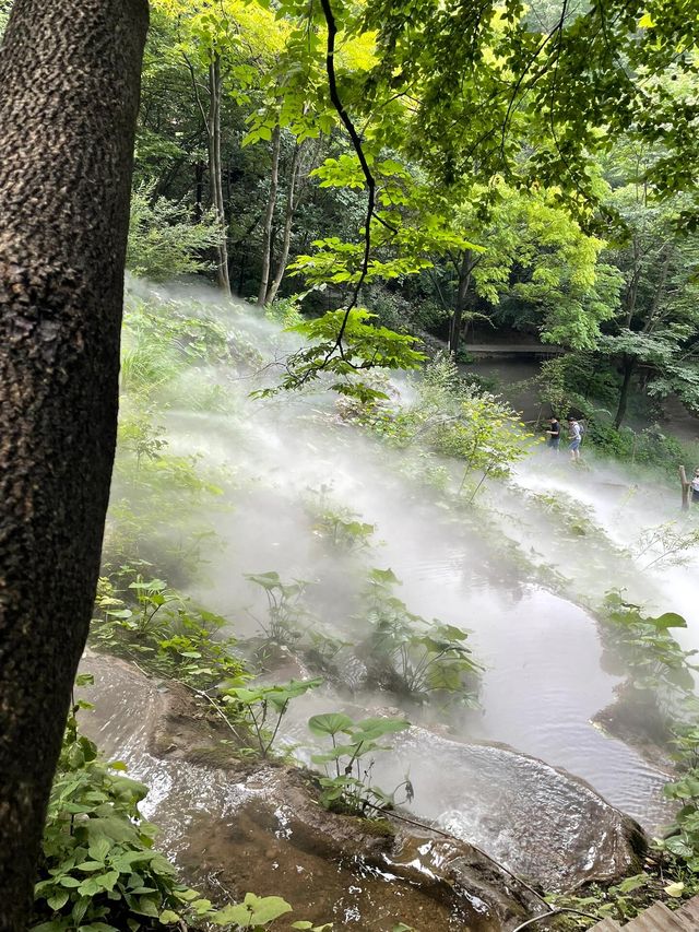 欒川重渡溝 主打一個冰鎮清涼｜洛陽周邊遊