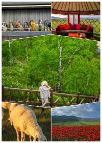 呼倫貝爾‖快嚟旅遊啦，旅行攻略已準備好