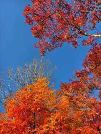 Erdaobaihe - The Enchanting Gateway to Changbai Mountain
