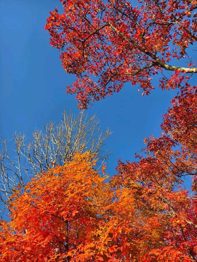 Erdaobaihe - The Enchanting Gateway to Changbai Mountain