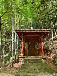 Too Hot to Be Out in Nature? This might be just the place for you!