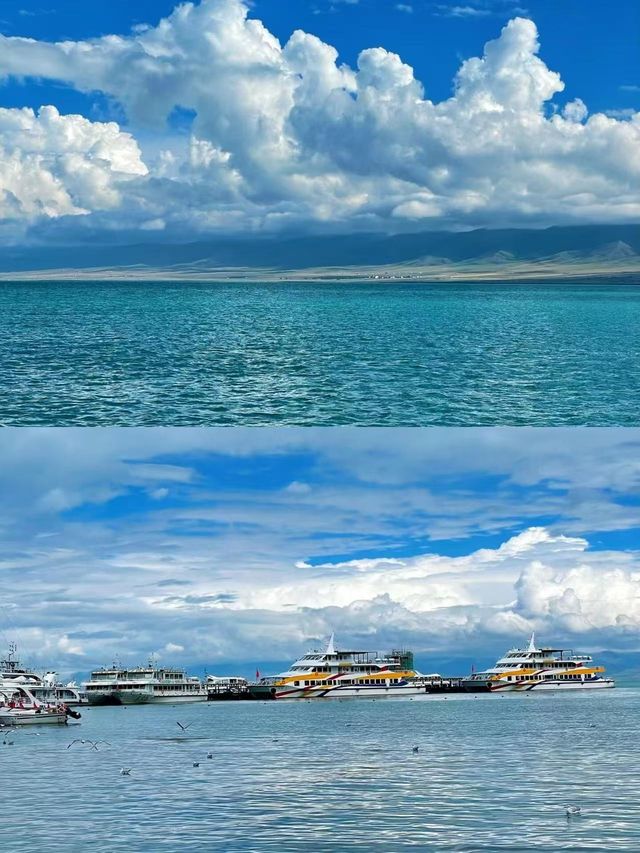 6-8月青海湖！避暑旅行之選
