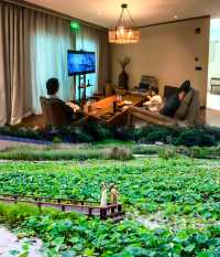 夏日消暑！蘇州太湖嘅神仙度假村打卡