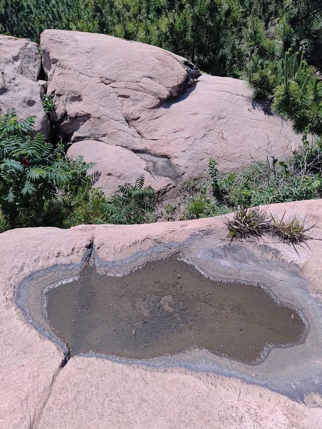 穿越金嶺山～