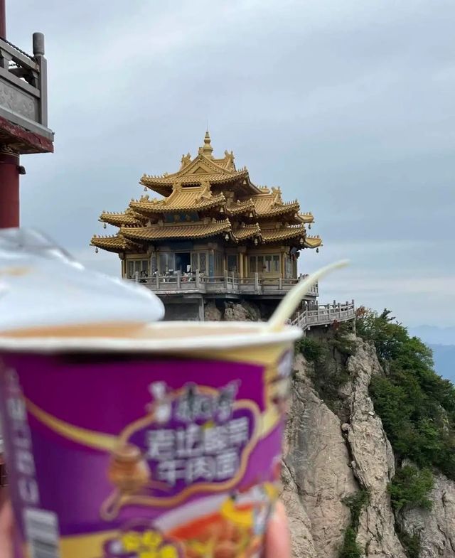 暑假一定要帶娃去趟河南！