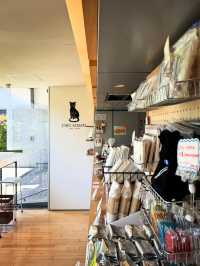 🇯🇵東京探店｜在夏目漱石故居喝貓咪主題咖啡☕️Cafe Soseki
